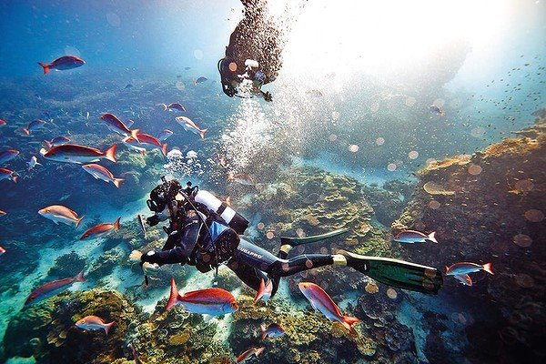 The Awesomest Tips for a Summer Adventure in Australia